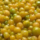 Aunt Molly'S Ground Cherry Organic