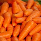 Tendersweet Carrot Seeds Daucus Carota B120