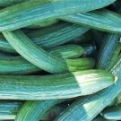 Dark Armenian Cucumber Seeds Cucumis Sativus B319