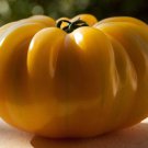 Old German Tomato Seeds Solanum Lycopersicum B225