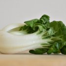 Bok Choy Chinese Cabbage 315 Seeds 1 Gram B55