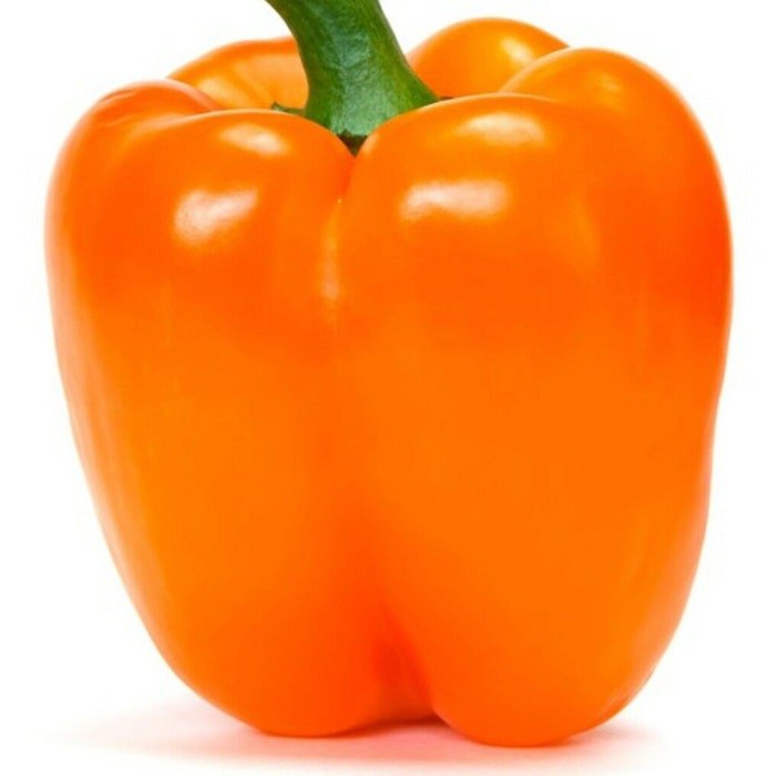 Orange Sun Bell Pepper Seeds Capsicum Annuum B137