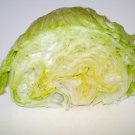 Iceberg Lettuce Seeds Lactuca Sativa Var. Capitata B302