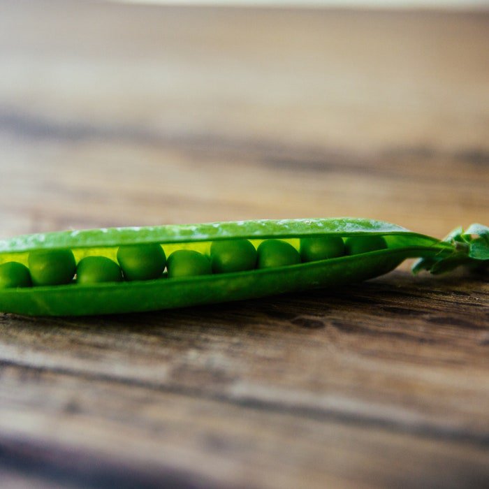 Lincoln Shell Pea Seeds Pisum Sativum C12