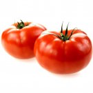 Tomato Marglobe Garden Seeds Solanum Lycopersicum B217