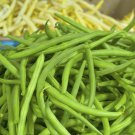 Blue Lake Bush Bean Seeds Phaseolus Vulgaris C3