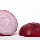 Red Grano Onion Seeds Allium Cepa B52
