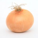 Sweet Yellow Spanish Onion Seeds Allium Cepa B175