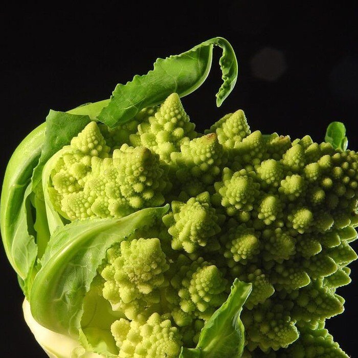 Romanesco Broccoli Seeds Brassica Oleracea B124