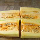 Spaghetti Squash Seeds Cucurbita Pepo B275