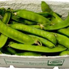 Sugar Snap Pea Seeds Pisum Sativum C2