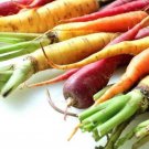 Rainbow Carrot Seeds 60 Seeds 1/10 Gram B258