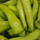 Hungarian Sweet Wax Pepper Seeds Capsicum Annuum B126