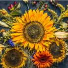 Autumn Beauty Sunflower Seeds Helianthus Annuus St10