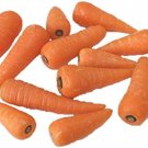Little Finger Carrot 300 Seeds 1/2 Gram B180