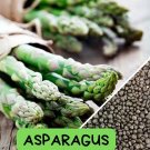 25 Mary Washington Asparagus Seeds – Heirloom Variety, Hardy Perennial Veggie, Tender Spears, Easy