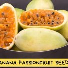Banana Passionfruit Seeds | Passiflora mollissima | Rare Fruit Vine | Fast Growing Climber | Edible 