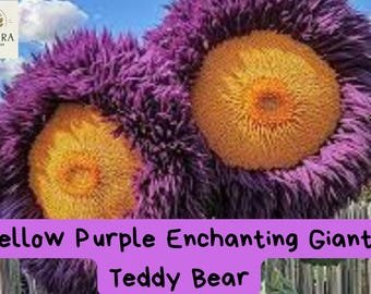 Yellow Purple Giant Teddy Bear Sunflower Seeds | Fluffy Blooms | Rare Garden Flowers | Easy to Grow 