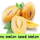 Pepino Melon Seeds – Exotic Melon Pear / Sweet Cucumber – Edible Fruit – Rare, Fast-Growing 