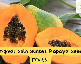 Solo Sunset Papaya Seeds &acirc;�� Fast Fruiting in 9 Months &acirc;�� Compact Tropical Fruit Tree &acirc;�� Sweet and