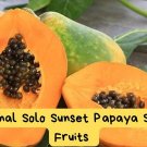 Solo Sunset Papaya Seeds – Fast Fruiting in 9 Months – Compact Tropical Fruit Tree – Sweet and