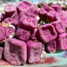 Conophytum Cubicum SEEDS