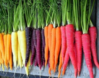 50 Rainbow Carrot Mixed seeds----vegetable seeds&acirc;��plant seeds&acirc;��seeds gift