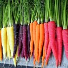 50 Rainbow Carrot Mixed seeds----vegetable seeds—plant seeds—seeds gift