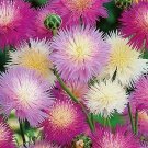 30 Sweet sultan 'Crown Mixture' Seeds---Flower seeds--Plant seeds--Gardening--Seeds--Gift