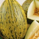 15 Melon Piel de sapo seeds--Santa Claus melon-Fruit seeds--Plant seeds--Gardening--Seeds--Gift