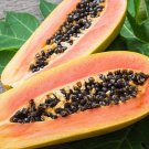 25 Papaya carica seeds---Fruit seeds---Plant seeds--Gardening--Seeds--Gift