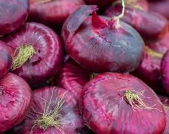 25 Flat Shaped red onion seeds---Onion Rossa di Toscana---Vegetable seeds---Plant seeds---Gardening-