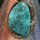 Kingman Turquoise Collector's Bracelet (3464)