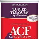 Buried Treasure ACF Extra Strength Extreme Immune Support with Elderberry Echina