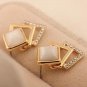 Diamond earrings EG001