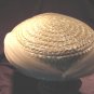 Vintage 50s Straw Hat Platter Cello TULLE Chiffon