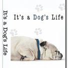 It's a Dog's Life