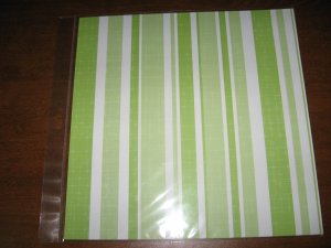 Scrapbook Paper  Lime Strip
