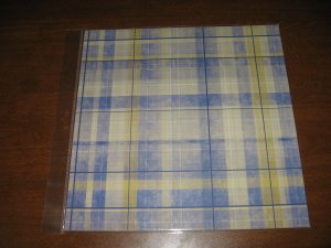 Scrapbook Paper blue plaid