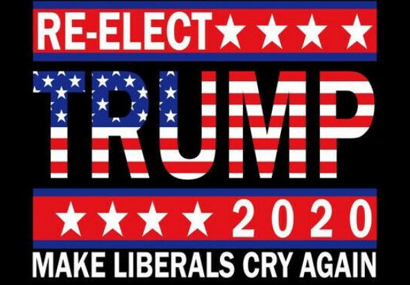 RE-ELECT Trump 2020 Make Liberals Cry Again Flag MAGA