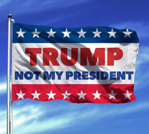 Blue Red 3x5ft Not My President 2020 Trump Flag