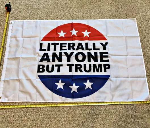 Anyone But Trump 2020 Flag Literally Impeach Biden 3x5FT Banner