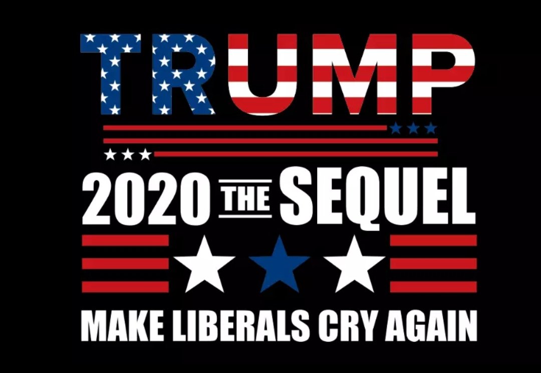 2020 The Sequel Make Liberals Cry Again President Trump Flag Great 3x5ft