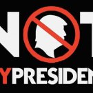 Not My President - Trump 2020 Flag Polyester Print 3x5Ft Banner - 200