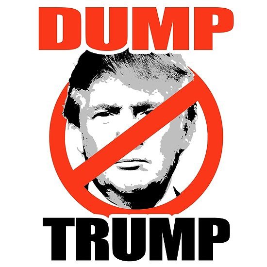 Dump Trump Flag 3X5ft Banner 2020