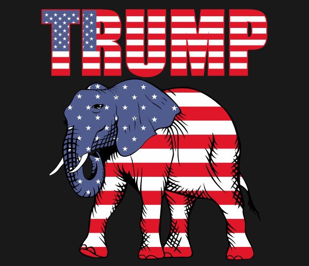 President Trump 2020 Flag  3x5Ft Make America Great President USA