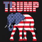 President Trump 2020 Flag  3x5Ft Make America Great President USA