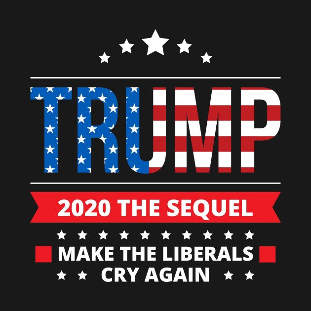 Trump 2020 Flag BannerThe Sequel Make tThe Liberals Cry Again President USA