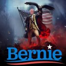 President Bernie Sanders 2020 Flag 3x5Ft President USA Banner New