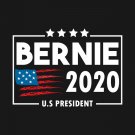 Bernie Sanders Flag 2020 President USA 3x5Ft Feel The Burn President Banner